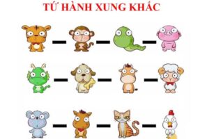 Tứ hành xung: Giải mã mối xung khắc trong 12 con giáp
