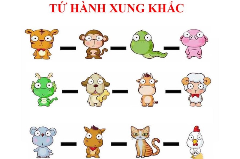 Tứ hành xung: Giải mã mối xung khắc trong 12 con giáp