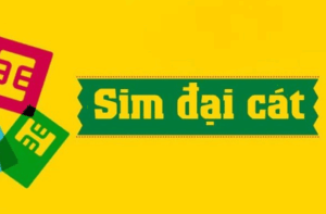 Đại cát là gì? Giải mã ý nghĩa và ứng dụng trong phong thủy sim và cuộc sống